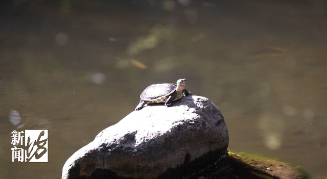 本！周！关！闭！陪伴上海人70多年，市中心知名地标有大变化↗
