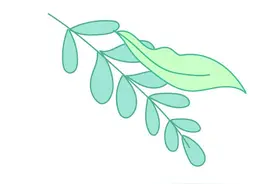 中国疾控中心提示：预防孩子手足口病，做好这6件事→图片