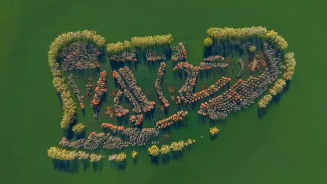 还有谁不知道，逛洛阳真的不用花钱