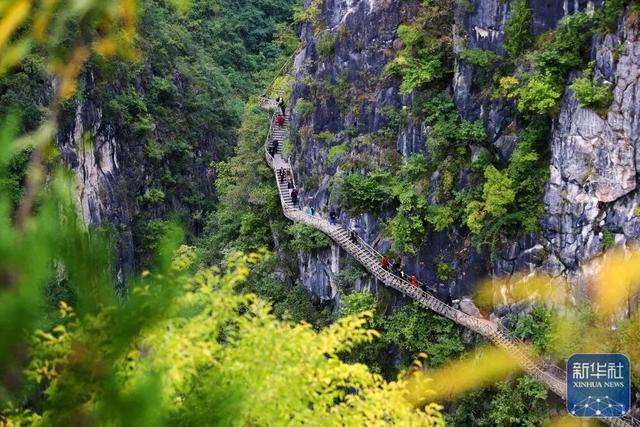 秋声渐杳 斑斓成诗