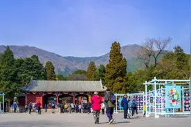 清明假期首日 北京市属公园接待游客58万余人次图片