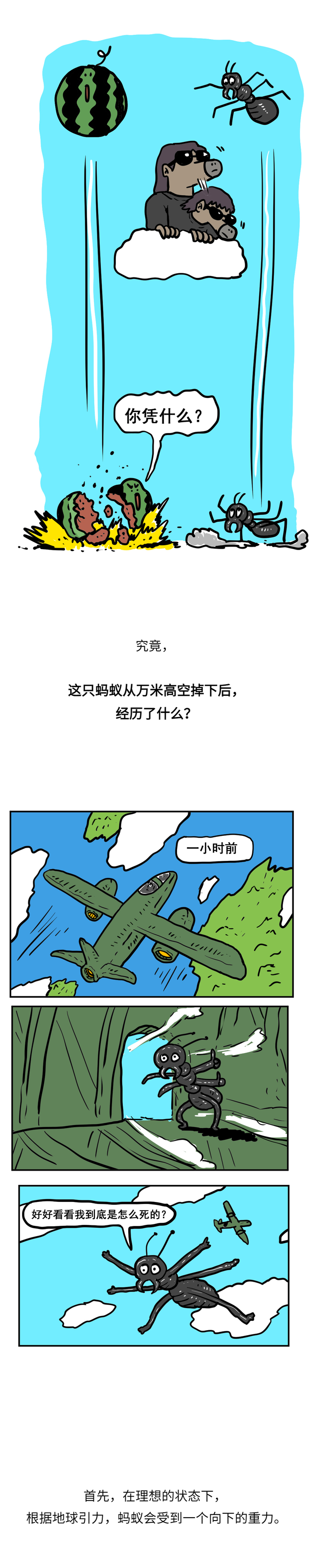 假如蚂蚁从飞机上掉下，不会摔死吗？