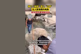 撒下“电网”，落入“法网”，五人禁渔期内捕鱼被采取刑事强制措施图片