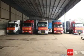 海南澄迈300吨冬季瓜菜发车杭州图片