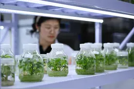 民企变革创新、反内卷式竞争、消费补贴……全国两会热点前瞻图片