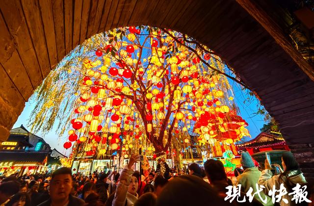 “东风夜放花千树”具象化了，一眼千年的浪漫正在南京上演