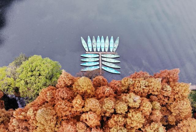 心动吗？这些冬日美景错过了就要再等一年！