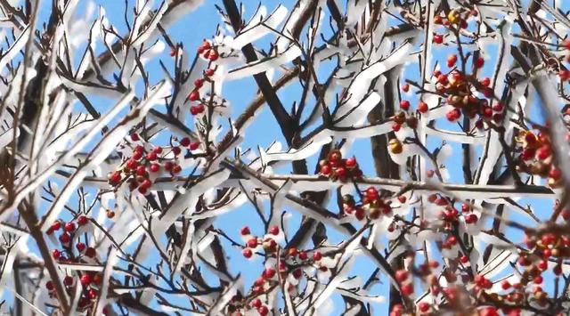 浙江超绝雪景大PK 浙江人也有自己的“冰雪大世界”