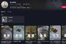 “00后”接管《动物世界》？网友：又怪又爱看图片