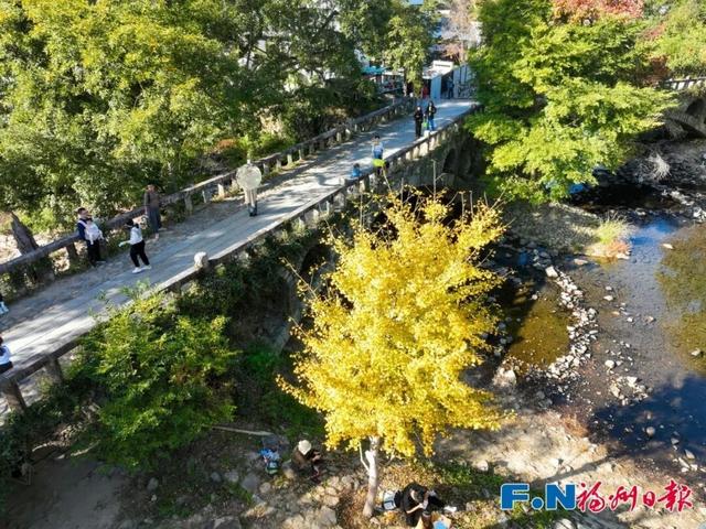 颜值巅峰！福州这个宝藏村落，正上演年度色彩盛宴！