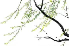 小雨不影响升温，直冲28℃！丨天气早知道图片