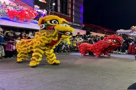 印尼茂物市举办元宵节庆祝活动图片