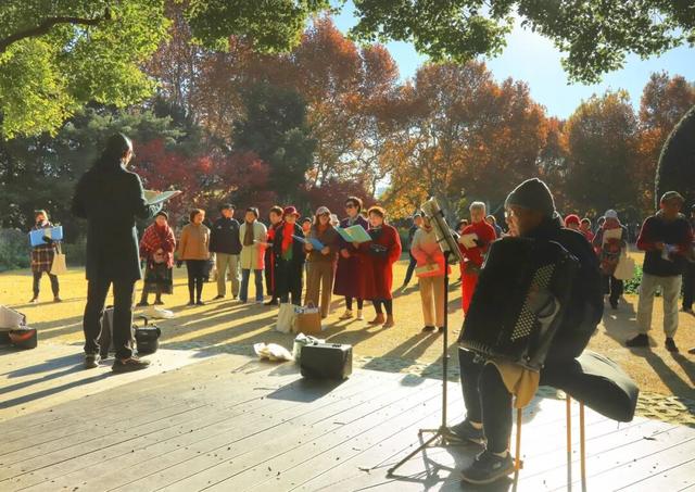 长宁的秋叶，红得醉人……