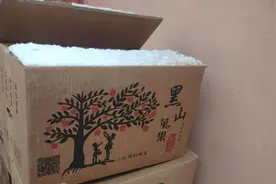 长山列岛 | 国光苹果的故事图片