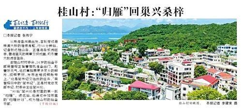 ​火了！珠海这条村政府出资，破旧石屋“爆改”成网红民宿！