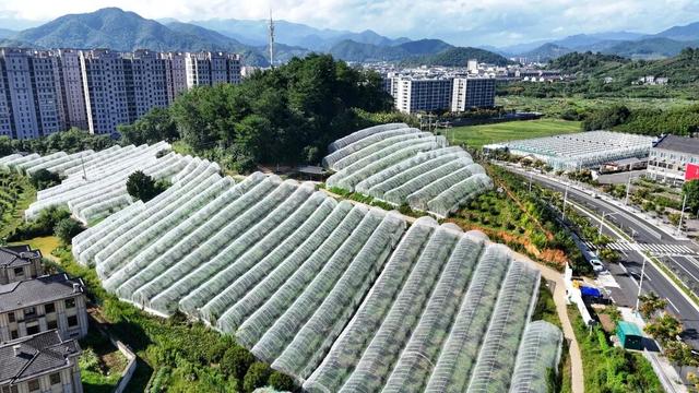 锁定奉化，山野“食”秋！这份假期觅食指南别错过→