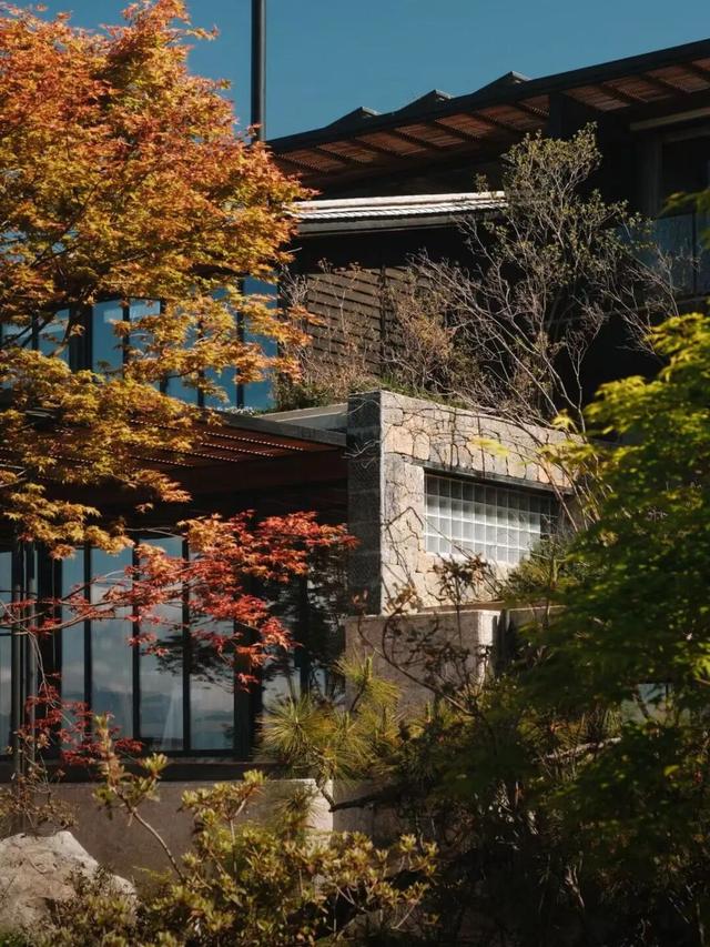 Wallpaper独家｜伙山村里一处让人“迷路”的酒店