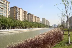 浦东：川沙新镇持续加强水环境治理图片