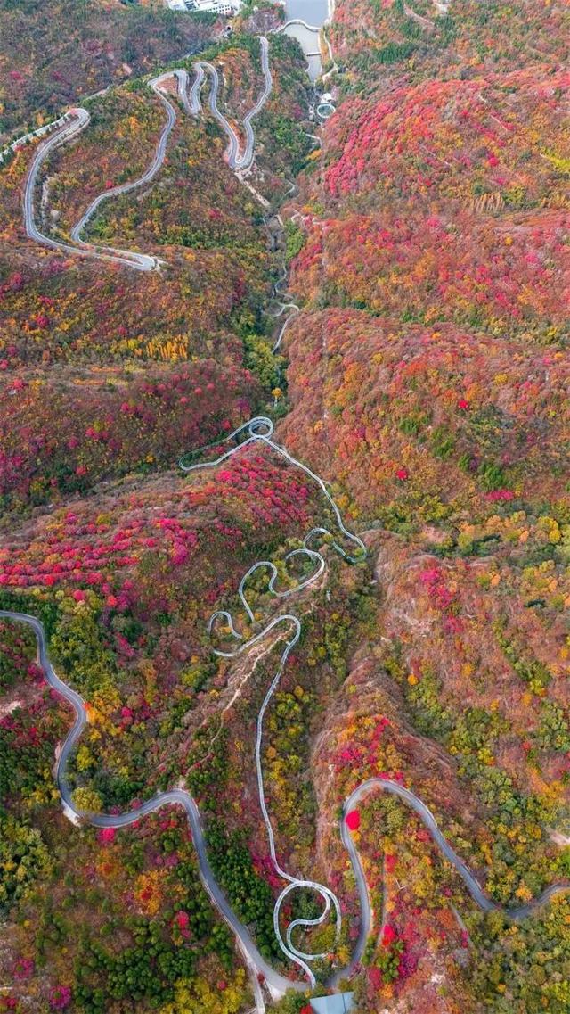 中秋国庆来畅玩山野！潭溪山秋色正在加载中，红叶大片先收藏→