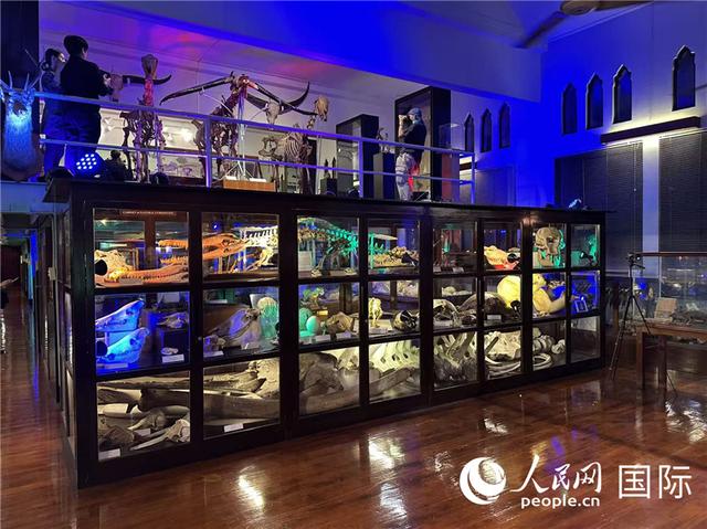 泰国推出“博物馆之夜2025”活动