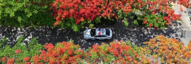 我们红河“好在的很”！来就给你安排旅游搭子