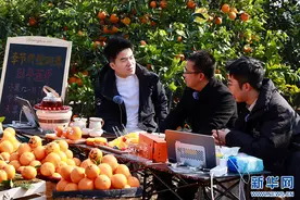 董宇辉2小时卖300万斤脐橙：橙皮薄汁多、细嫩化渣、甜甜蜜蜜图片