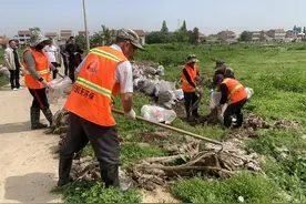 云梦：废旧地膜清理 为农田“清肺排毒”图片