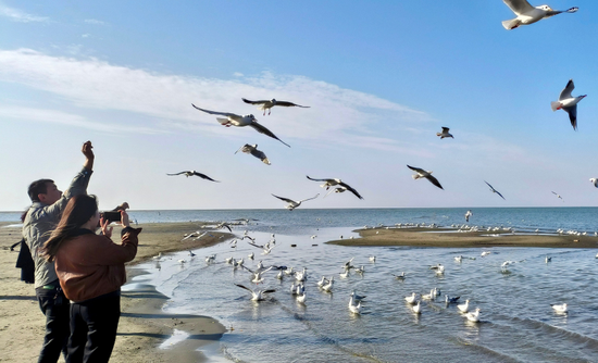 博斯腾湖环湖公路数千水鸟与游客同框 生态美景成打卡热点