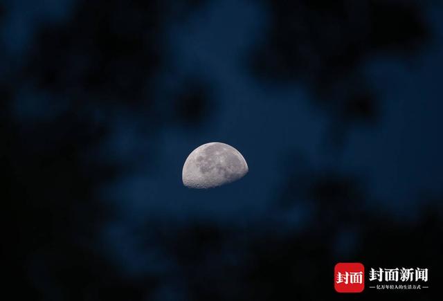 早起福利 龙泉山云海蒸腾如仙境｜图集