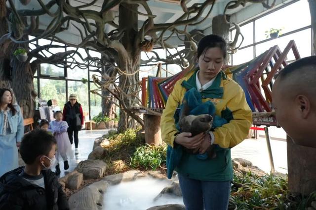 比电影还上头，重庆现实版“疯狂动物城”，超好逛！