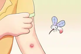 真的有被这些中草药的驱蚊效果惊艳到！图片