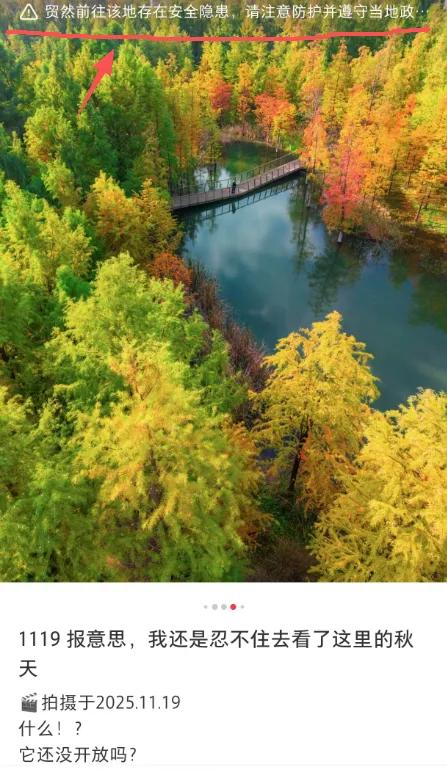 上海有个超美的新公园，未开先火！有人偷偷爬进去、溜进去、翻进去……太危险！