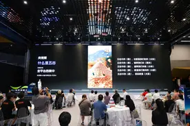 创新盛会！这些AI产品让人大开眼界→图片