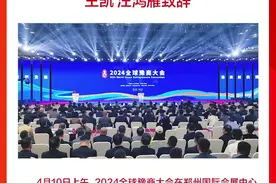 现场｜2024全球豫商大会在郑州开幕图片