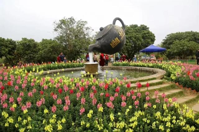 元旦嗨玩钦州，专属景区优惠合集来啦~