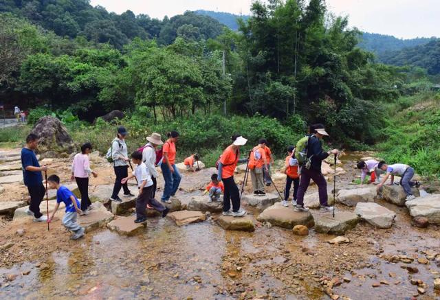 与“王子”相约，共赴一场森林探秘之旅~