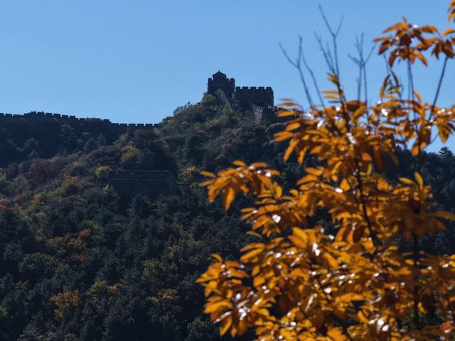2025 第五届金山岭长城徒步大会成功举办，致敬每一位攀登者！
