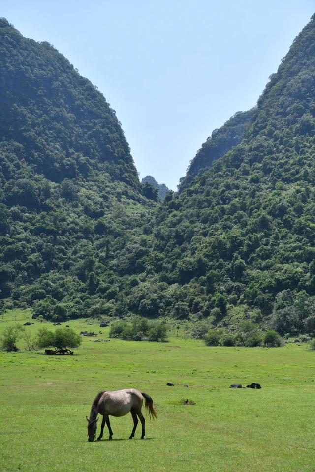 距离柳州不到两小时！来鹿寨做“浪系”玩家→