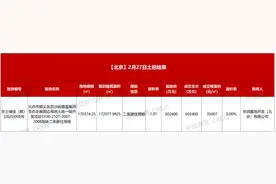 华润置地加速补仓核心城市，2月已拿下多宗高溢价地块图片