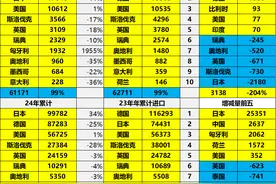 都市车界|上半年汽车进出口量公布：奇瑞、名爵、比亚迪分占出口量前三图片