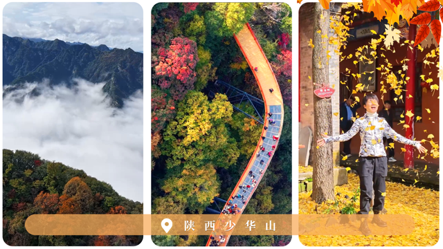 【新华社】文化中国行｜赏秋正当时！“文旅+”新业态为秋日经济注入新活力