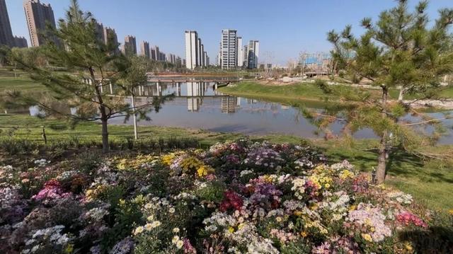 扩散 || 银川新增两大公园，美景如画，你去打卡了吗？