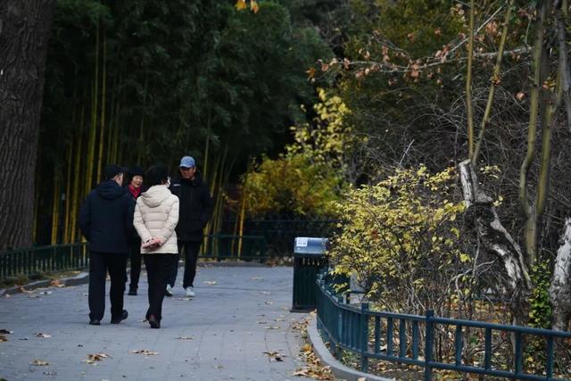 3分钟，留住北京的秋天！