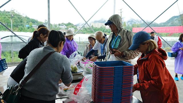 新加坡大型旅游团趣游桑植，“农”情体验风土人情