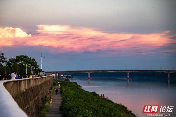 安乡书院洲：把时光慢放的傍晚湿地