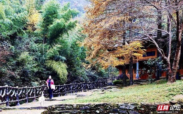 岁暖时刻丨奉嘎山：一座会呼吸的山，把人间烟火酿成了诗