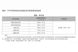 武汉市发布2025年春季各级各类学校收费项目标准图片