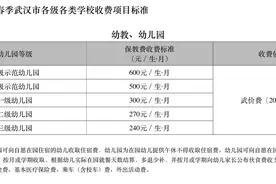武汉市发布2025年春季各级各类学校收费项目标准图片