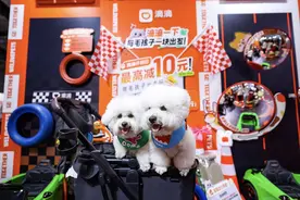 从“毛孩子运动会”到“长耳朵的车队”滴滴开放日聚焦宠物出行图片