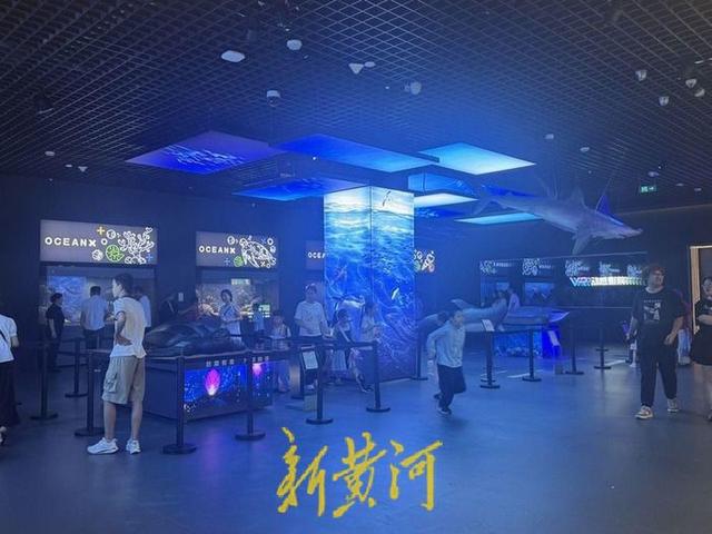 博物馆迎来观展热！山东博物馆暑期延长开放时间，新增3处热门打卡点